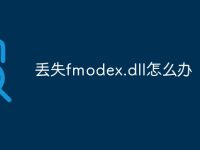 丢失fmodex.dll怎么办-路由网