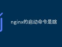 nginx的启动命令是啥-路由网
