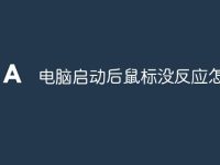 电脑启动后鼠标没反应怎么办-路由网