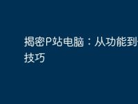 揭密P站电脑:从功能到使用技巧-路由网