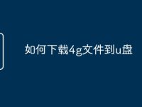 如何下载4g文件到u盘-路由网