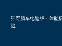 狂野飙车电脑版,体验极速冒险-路由网