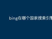 bing在哪个国家搜索引擎-路由网