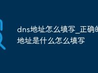dns地址怎么填写_正确的dns地址是什么怎么填写-路由网