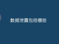 数据泄露包括哪些-路由网