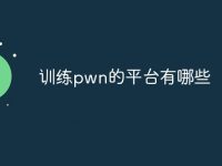 训练pwn的平台有哪些-路由网