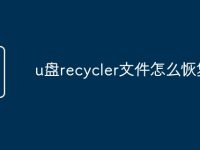 u盘recycler文件怎么恢复-路由网