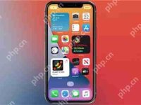 ios属于苹果还是安卓系统-路由网
