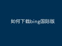 如何下载bing国际版-路由网