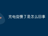 充电变慢了是怎么回事-路由网
