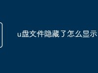 u盘文件隐藏了怎么显示-路由网