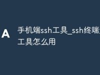 手机端ssh工具_ssh终端连接工具怎么用-路由网