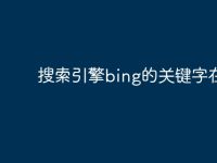 搜索引擎bing的关键字在哪-路由网