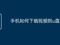 手机如何下载视频到u盘-路由网