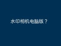 水印相机电脑版?-路由网