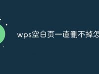 wps空白页一直删不掉怎么办-路由网