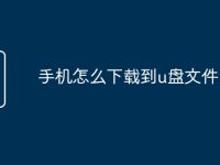 手机怎么下载到u盘文件-路由网