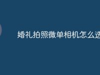 婚礼拍照微单相机怎么选-路由网