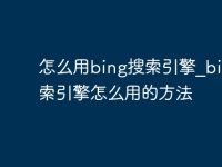 怎么用bing搜索引擎_bing搜索引擎怎么用的方法-路由网