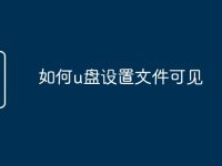 如何u盘设置文件可见-路由网
