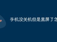 手机没关机但是黑屏了怎么办-路由网