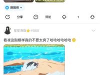 最右如何让别人关注不了-路由网