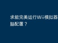 求能完美运行Wii模拟器的电脑配置？-路由网