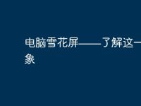 电脑雪花屏——了解这一故障现象-路由网