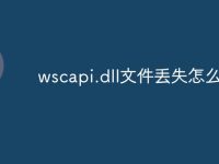 wscapi.dll文件丢失怎么办-路由网