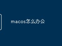 macos怎么办公-路由网