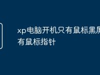 xp电脑开机只有鼠标黑屏只有鼠标指针-路由网