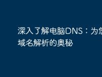 深入了解电脑DNS：为您解析域名解析的奥秘-路由网