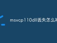 msvcp110dll丢失怎么补-路由网