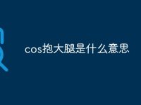 cos抱大腿是什么意思-路由网