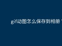 gif动图怎么保存到相册？-路由网