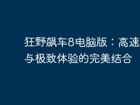 狂野飙车8电脑版：高速竞速与极致体验的完美结合-路由网
