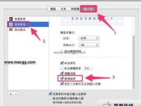 如何在 Mavericks下开启系统内置双拼输入法?-路由网