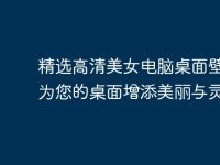 精选高清美女电脑桌面壁纸:为您的桌面增添美丽与灵感-路由网