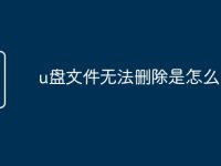 u盘文件无法删除是怎么回事-路由网
