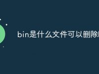 bin是什么文件可以删除吗-路由网