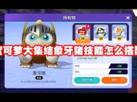 宝可梦大集结象牙猪技能怎么搭配-路由网