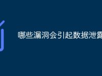 哪些漏洞会引起数据泄露-路由网