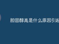 胆固醇高是什么原因引起-路由网