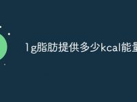 1g脂肪提供多少kcal能量-路由网