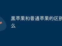 黑苹果和普通苹果的区别是什么-路由网