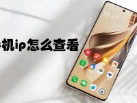 手机ip怎么查看-路由网