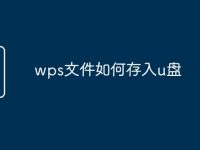 wps文件如何存入u盘-路由网