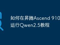 如何在昇腾Ascend 910B上运行Qwen2.5教程-路由网