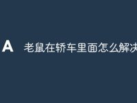 老鼠在轿车里面怎么解决-路由网