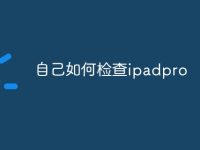 自己如何检查ipadpro-路由网
